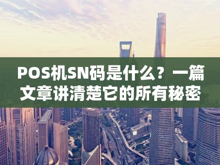 重庆POS机SN码是什么？一篇文章讲清楚它的所有秘密