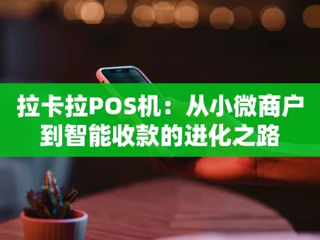 重庆拉卡拉POS机：从小微商户到智能收款的进化之路