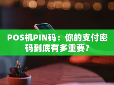 重庆POS机PIN码：你的支付密码到底有多重要？