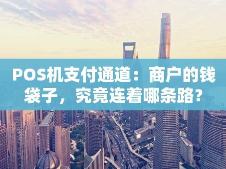 重庆POS机支付通道：商户的钱袋子，究竟连着哪条路？