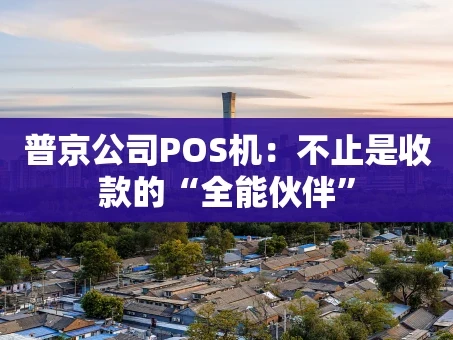 重庆普京公司POS机：不止是收款的“全能伙伴”