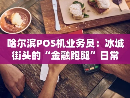 重庆哈尔滨POS机业务员：冰城街头的“金融跑腿”日常