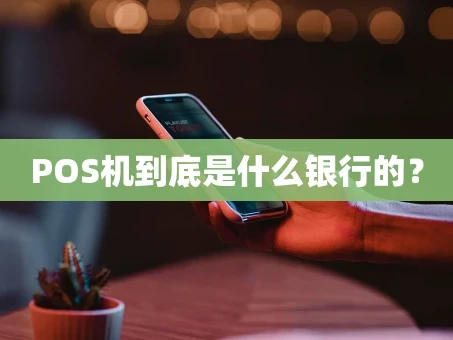 重庆POS机到底是什么银行的？
