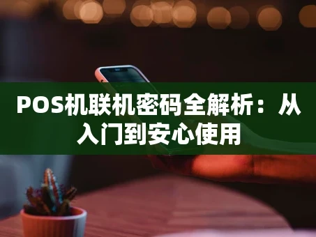 重庆POS机联机密码全解析：从入门到安心使用