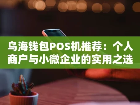 重庆乌海钱包POS机推荐：个人商户与小微企业的实用之选