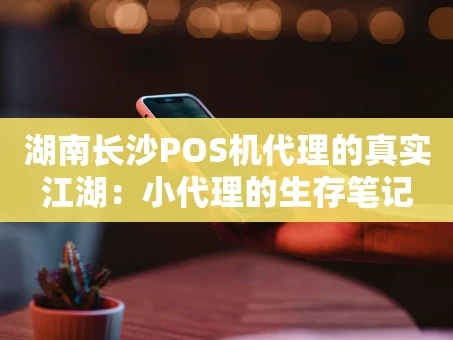 重庆湖南长沙POS机代理的真实江湖：小代理的生存笔记
