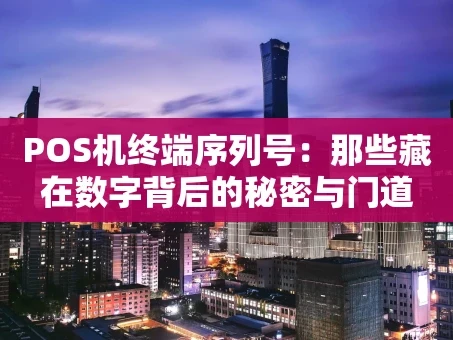 重庆POS机终端序列号：那些藏在数字背后的秘密与门道