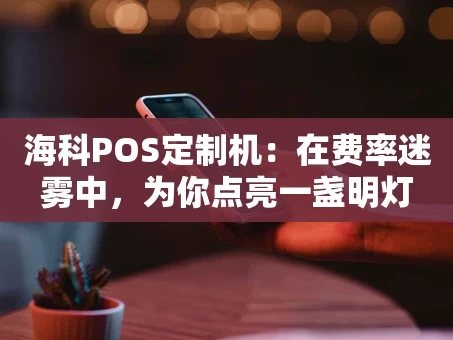 重庆海科POS定制机：在费率迷雾中，为你点亮一盏明灯