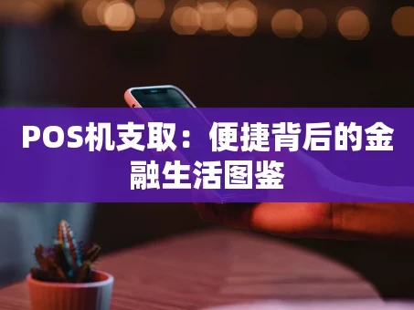 重庆POS机支取：便捷背后的金融生活图鉴