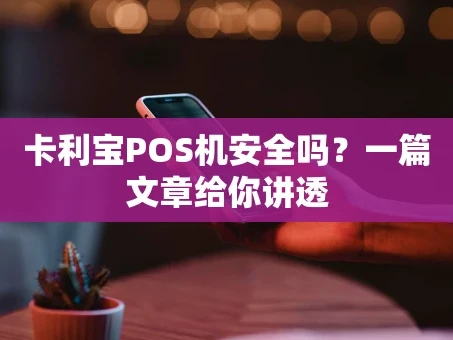 重庆卡利宝POS机安全吗？一篇文章给你讲透