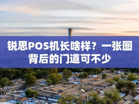 重庆锐思POS机长啥样？一张图背后的门道可不少