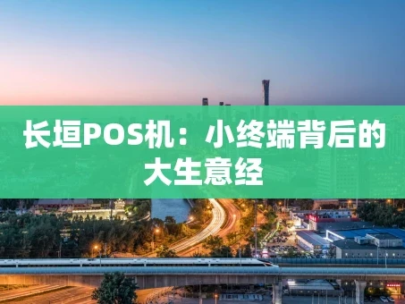 重庆长垣POS机：小终端背后的大生意经
