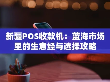 重庆新疆POS收款机：蓝海市场里的生意经与选择攻略
