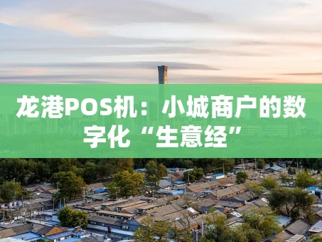 重庆龙港POS机：小城商户的数字化“生意经”