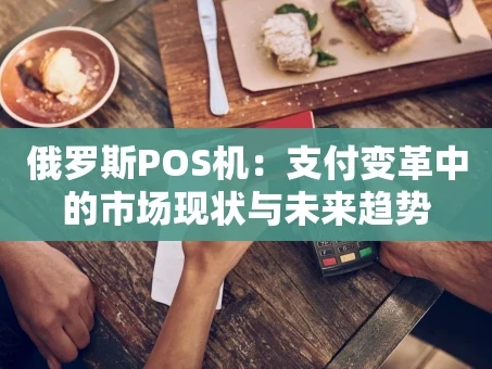 重庆俄罗斯POS机：支付变革中的市场现状与未来趋势