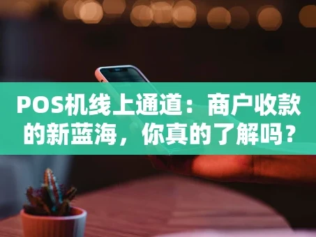 重庆POS机线上通道：商户收款的新蓝海，你真的了解吗？