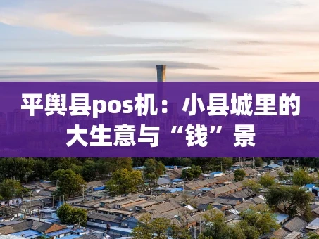 重庆平舆县pos机：小县城里的大生意与“钱”景
