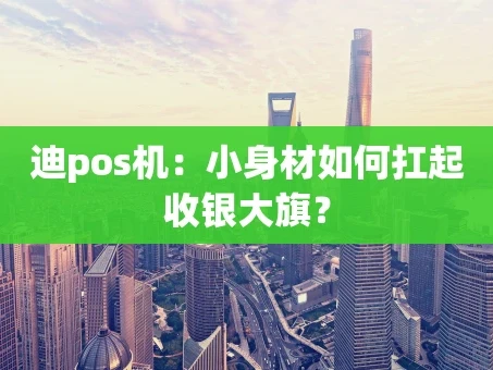 重庆迪pos机：小身材如何扛起收银大旗？