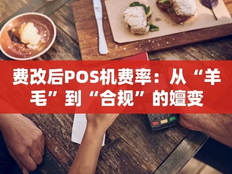 重庆费改后POS机费率：从“羊毛”到“合规”的嬗变