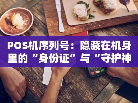 重庆POS机序列号：隐藏在机身里的“身份证”与“守护神”