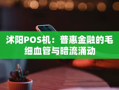 重庆沭阳POS机：普惠金融的毛细血管与暗流涌动
