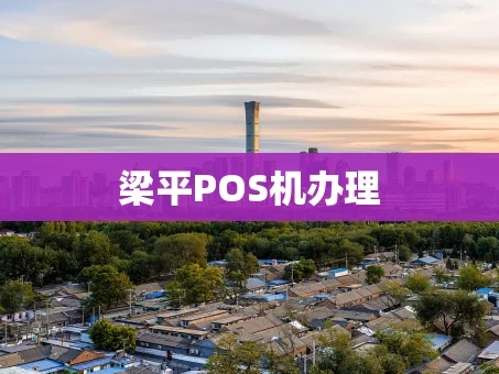 重庆梁平POS机办理