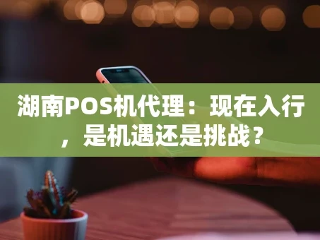 重庆湖南POS机代理：现在入行，是机遇还是挑战？