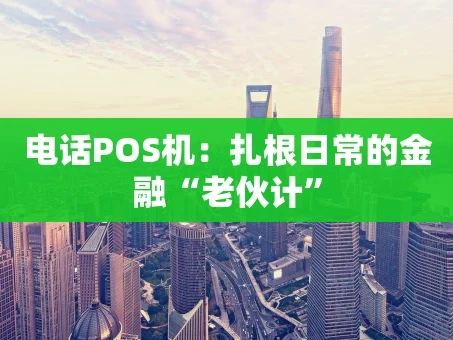 重庆电话POS机：扎根日常的金融“老伙计”