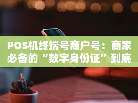 重庆POS机终端号商户号：商家必备的“数字身份证”到底有啥用？