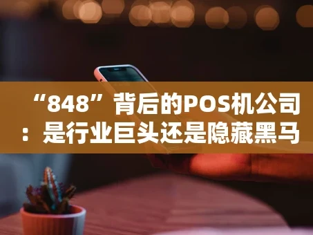 重庆“848”背后的POS机公司：是行业巨头还是隐藏黑马？