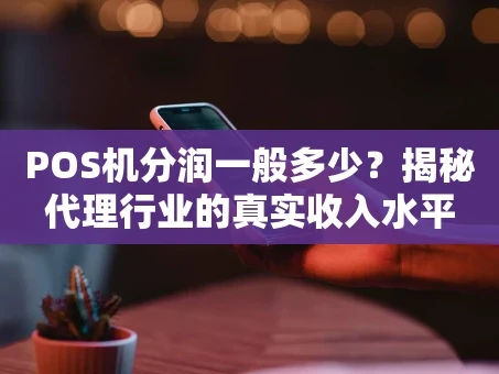 重庆POS机分润一般多少？揭秘代理行业的真实收入水平