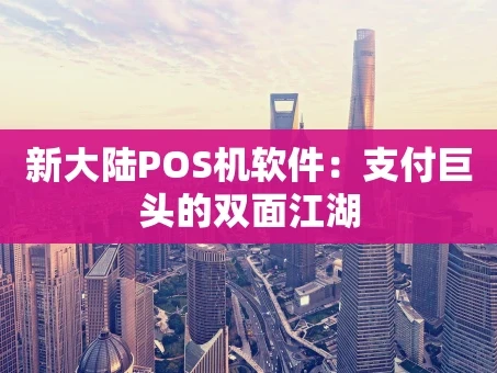 重庆新大陆POS机软件：支付巨头的双面江湖