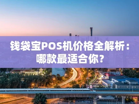 重庆钱袋宝POS机价格全解析：哪款最适合你？