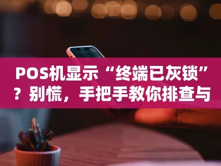 重庆POS机显示“终端已灰锁”？别慌，手把手教你排查与解决