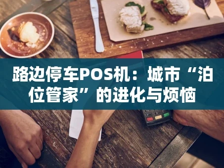 重庆路边停车POS机：城市“泊位管家”的进化与烦恼
