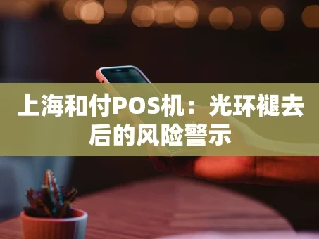 重庆上海和付POS机：光环褪去后的风险警示
