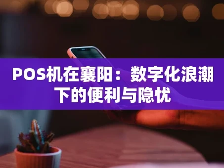 重庆POS机在襄阳：数字化浪潮下的便利与隐忧