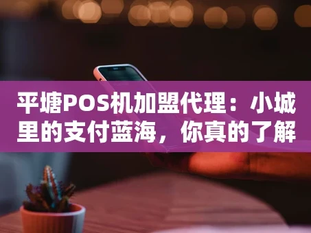 重庆平塘POS机加盟代理：小城里的支付蓝海，你真的了解吗？