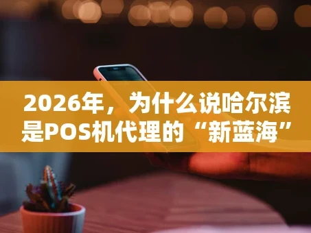 重庆2026年，为什么说哈尔滨是POS机代理的“新蓝海”？