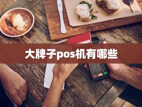 重庆大牌子pos机有哪些