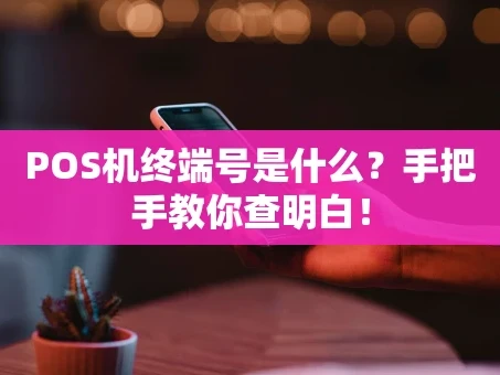 重庆POS机终端号是什么？手把手教你查明白！