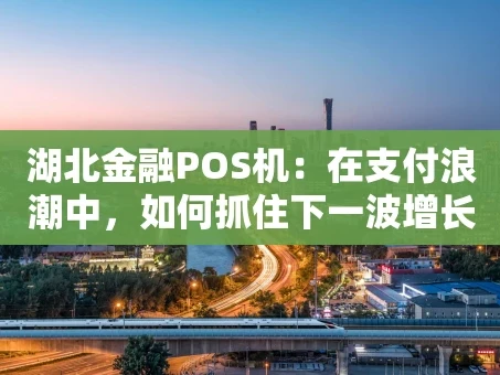 重庆湖北金融POS机：在支付浪潮中，如何抓住下一波增长点？