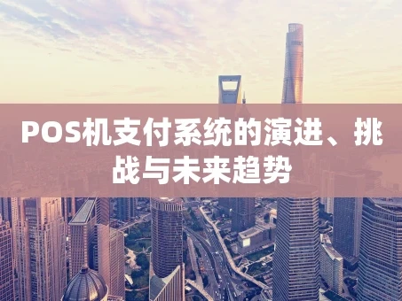 重庆POS机支付系统的演进、挑战与未来趋势
