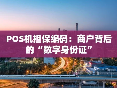 重庆POS机担保编码：商户背后的“数字身份证”