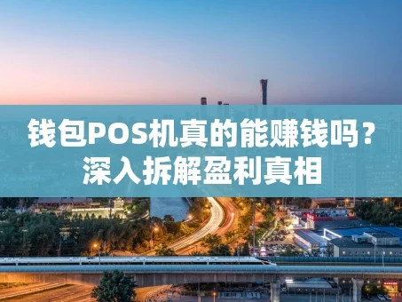 重庆钱包POS机真的能赚钱吗？深入拆解盈利真相