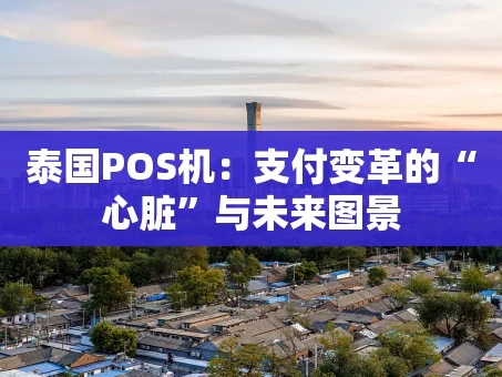 重庆泰国POS机：支付变革的“心脏”与未来图景