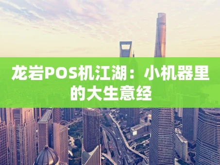 重庆龙岩POS机江湖：小机器里的大生意经