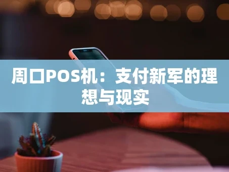 重庆周口POS机：支付新军的理想与现实