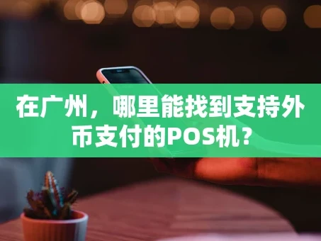 重庆在广州，哪里能找到支持外币支付的POS机？