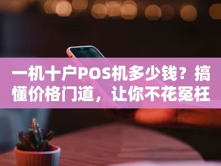 重庆一机十户POS机多少钱？搞懂价格门道，让你不花冤枉钱